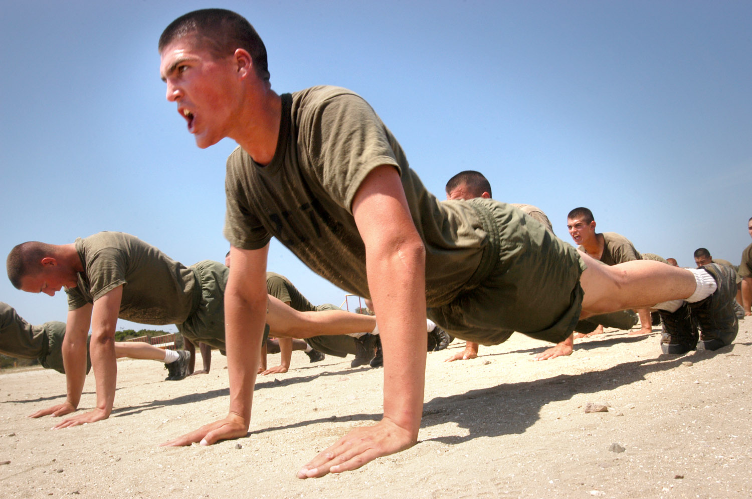 Marine recruits doing push-ups during physical training